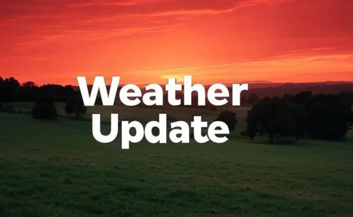 delhi-air-pollution-aqi-cpc Delhi smog reduces visibility as air quality remains poor in the national capital