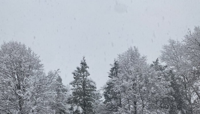 Dense fog and cold wave disrupt daily life in North India as temperatures drop and air quality worsens in Delhi-NCR