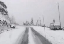 Severe Cold, Dense Fog Grip North and East India; Flights Disrupted, Delhi AQI Remains in ‘Severe’ Zone Dense fog blankets New Delhi as flights are delayed amid severe winter conditions