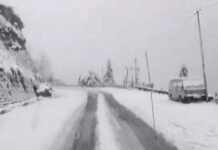 North India Shivers as Heavy Snowfall Hits Hills, Dense Fog Disrupts Flights, Trains, and Road Traffic Dense fog and snowfall disrupt weather conditions across North India