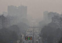 Delhi Air Emergency: AQI Hits ‘Severe’ as Several Areas Near 500; GRAP Stage 4 Enforced Across NCR Delhi air pollution emergency as AQI reaches severe levels with several areas near 500 under GRAP Stage 4 restrictions