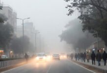 Cold Wave Tightens Grip on Delhi-NCR as IMD Issues Yellow and Orange Alerts Dense fog and cold wave conditions in Delhi-NCR on a winter morning