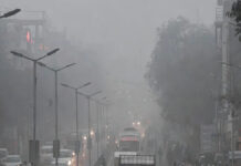 Delhi Bans Non-Essential Truck Entry as Air Quality Plunges to ‘Severe’ Levels Smog-covered Delhi highway with trucks halted following non-essential entry ban due to severe air pollution.