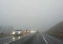 Cold Wave and Dense Fog Grip North India as IMD Issues Orange Alert; Rain Likely in South Dense fog covering a highway in North India during winter