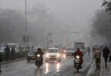 India Weather Update January 7, 2026: Cold Wave, Dense Fog Across North and East, Rain Likely in Tamil Nadu Dense winter fog covering a highway in North India during cold wave conditions