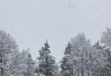 India Weather Update Jan 10: North Faces Severe Cold Wave and Dense Fog, Heavy Rain Alert for South Dense fog in North India and heavy rain in South India on January 10