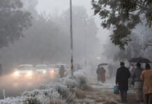 Freezing Winds Grip North India: Dense Fog Triggers Red Alert in Delhi, Haryana and Punjab North India covered in dense fog during severe cold wave, with near-zero visibility in Delhi.