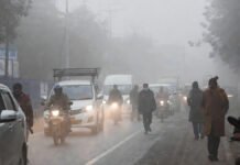 Weather Forecast January 14, 2026: Here’s How the Weather Looks in Your Region North India Freezes on January 14 — Dense Fog, Cold Wave Grip Multiple States; IMD Issues Alerts