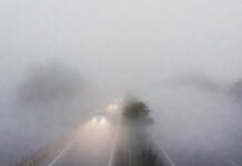 Weather Forecast for January 28, 2026: Dense Fog, Cold Wave Grip North India, Snowfall in Hills Dense fog and cold wave conditions in North India during January winter