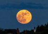Wolf Supermoon January 2026: First Full Moon of the Year Shines Brighter and Larger Wolf Supermoon appearing large and bright in the night sky on January 3, 2026