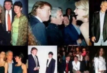 Epstein Files Trigger Worldwide Alarm After ‘Cannibalism’ Mentions Surface — DOJ Records Clarify the Truth Epstein files released by the US Department of Justice spark global attention and controversy