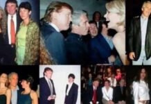 Epstein Files Released: Trump, Gates, Musk Mentioned as DOJ Publishes Largest-Ever Document Dump Epstein files released by US Justice Department spark political debate