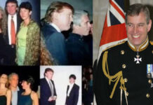 Epstein Files Case: Police Launch Probe Into Prince Andrew After New Allegations; Buckingham Palace Pledges Cooperation Buckingham Palace as UK police review new allegations involving Prince Andrew