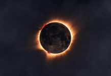 First Solar Eclipse of 2026 Today: ‘Ring of Fire’ to Dazzle Southern Hemisphere, Not Visible in India Annular solar eclipse showing bright Ring of Fire effect