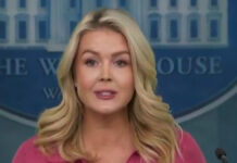Trump Administration Reopens Review of Russia’s Alleged 2016 Election Interference, Says White House White House Press Secretary Karoline Leavitt speaks on Russia 2016 election claims