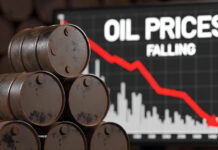 Oil Prices Plunge Up to 15% After Trump Delays Iran Strike, Easing Global Market Fears Crude oil prices falling with charts showing sharp decline after geopolitical easing
