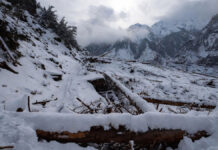Yamunotri Dham Hit by Avalanche: Routes Damaged, Heavy Snow Blocks Access Ahead of Char Dham Yatra Bhairav Valley avalanche snow blocked trekking route broken trees Uttarakhand