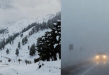 North India Weather Update: Snowfall in Hills, Dense Fog in Plains as Western Disturbance Triggers Alerts Snowfall in Himachal Pradesh hills and dense fog over North Indian plains during March 1, 2026 weather update