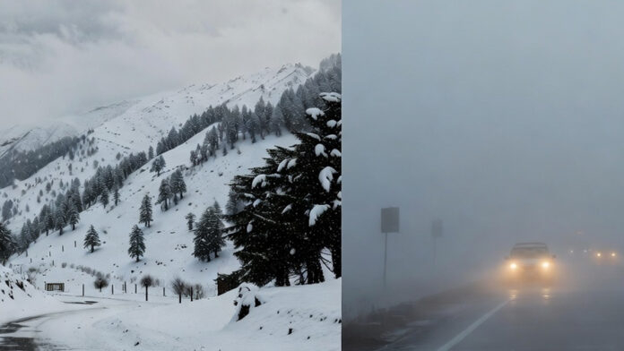 Snowfall in Himachal Pradesh hills and dense fog over North Indian plains during March 1, 2026 weather update