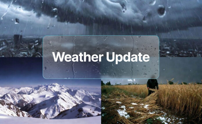 north-india-weather-rain-sn Heavy rain and snowfall across North India with hailstorm damage to crops and strong winds disrupting daily life