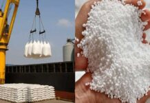India Locks in Record Urea Imports at Double Prices as Global Supply Tightens India Urea Crisis Deepens: Govt Secures Record Imports at Double Prices Amid Global Supply Shock