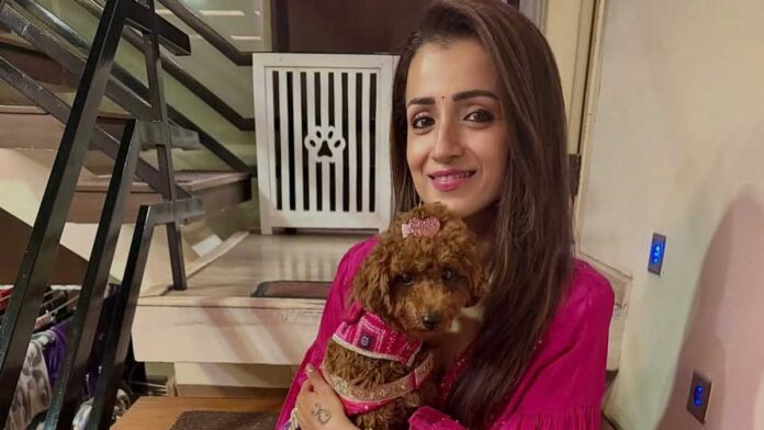Trisha Krishnan Receives Second Bomb Threat in 6 Months — Chennai Police Launch Probe