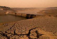 India Water Crisis Deepens: 13 Major Reservoirs Fall Below Half Capacity, Several Dams Run Dry Dry reservoir and cracked land highlighting India’s worsening water crisis in 2026