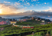 Darjeeling Tour Packages: Best Itineraries for Families, Couples and First-Time Travellers Darjeeling tour packages featuring tea gardens, toy train, Tiger Hill sunrise and scenic Himalayan mountain views