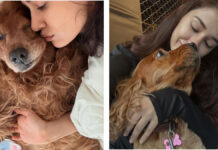 Disha Patani Mourns Death of Her Beloved Pets Bella and Jasmine in Heartbreaking Posts Disha Patani shared heartbreaking posts mourning the loss of her dog Bella and cat Jasmine, calling them her “first babies.”
