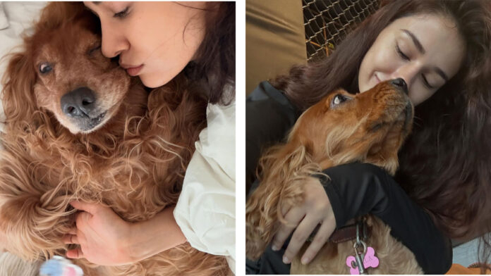 Disha Patani shared heartbreaking posts mourning the loss of her dog Bella and cat Jasmine, calling them her “first babies.”
