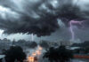 Northwest India Rain Forecast: IMD Says Showers, Dust Storms May Continue Through June 19 Delhi-NCR saw dust storms, rain and stronger winds as the IMD said showers may continue across northwest India through June 19.